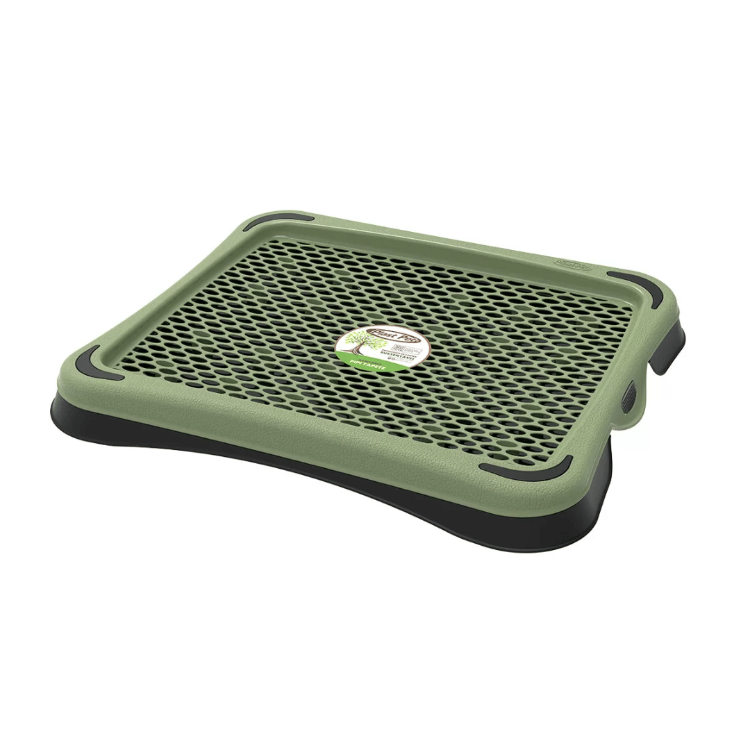 Tapete Sanitário Higiene Cachorro Eco Pipi Cores Variadas