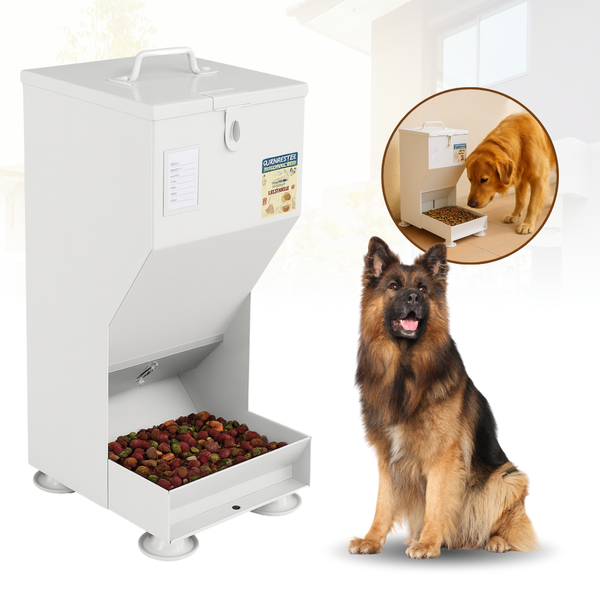 Comedouro Automático De Aço Para Cães Gato Coelho 10kg Fercar