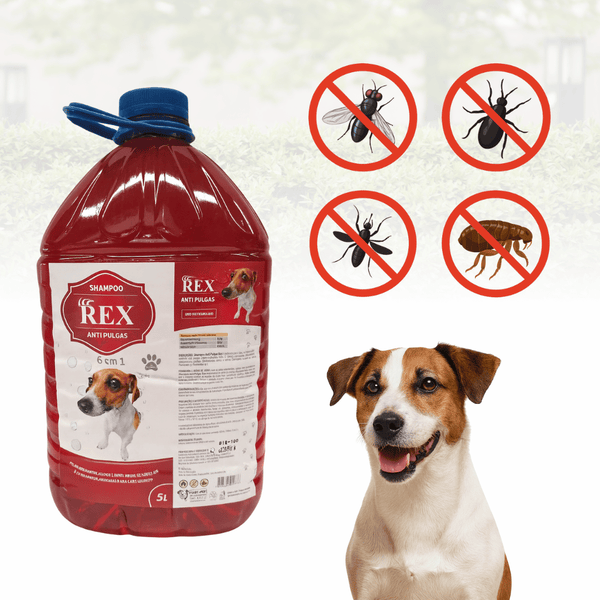Shampoo Antipulgas Rex Cães 6 em 1 Pelos Brilhantes
