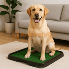 Tapete Higiênico Xixi Pet para Cães Grama Sintética MecPet