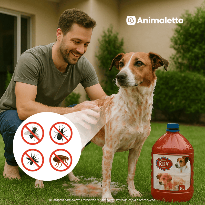 Shampoo Antipulgas Rex Cães 6 em 1 Pelos Brilhantes