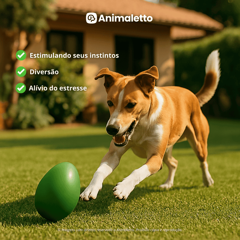 Brinquedo interativo Mordedor Anti stress Para Cachorro Ovo Maluco P