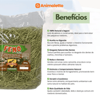 Feno Natural Nutritivo ProRoe 400g para Roedores e Coelhos
