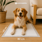 Tapete Higiênico Cães Carvão 30 Un 80 X 60 Ultra Absorvente