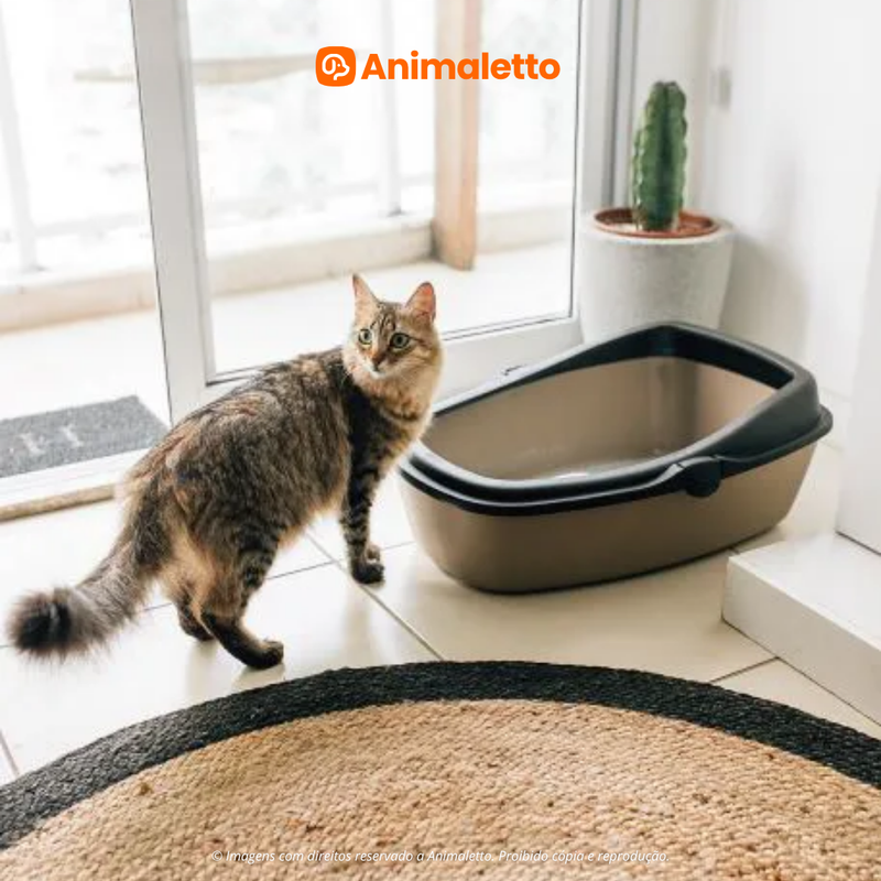 Bandeja Higiênica WC King Grande para Gatos com Bordas Protetoras