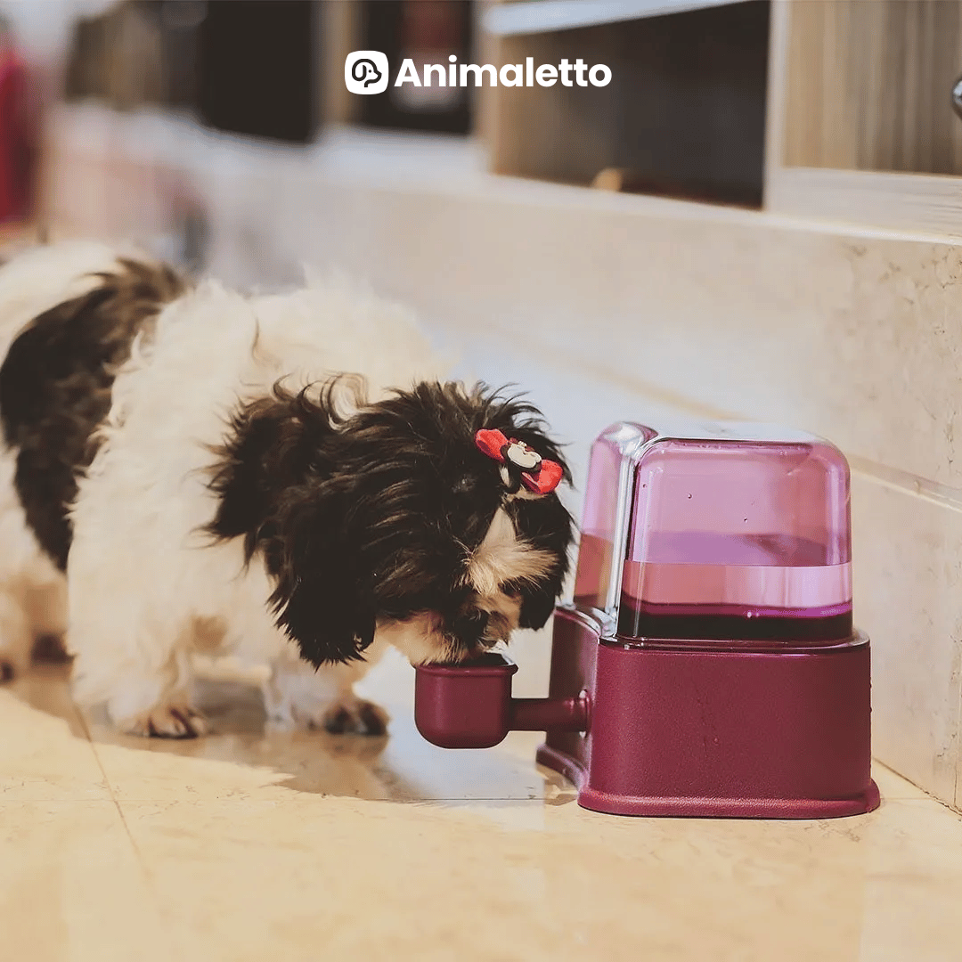 Bebedouro Automático Cães Pet Pelos Longos com Filtro 2,3Lts