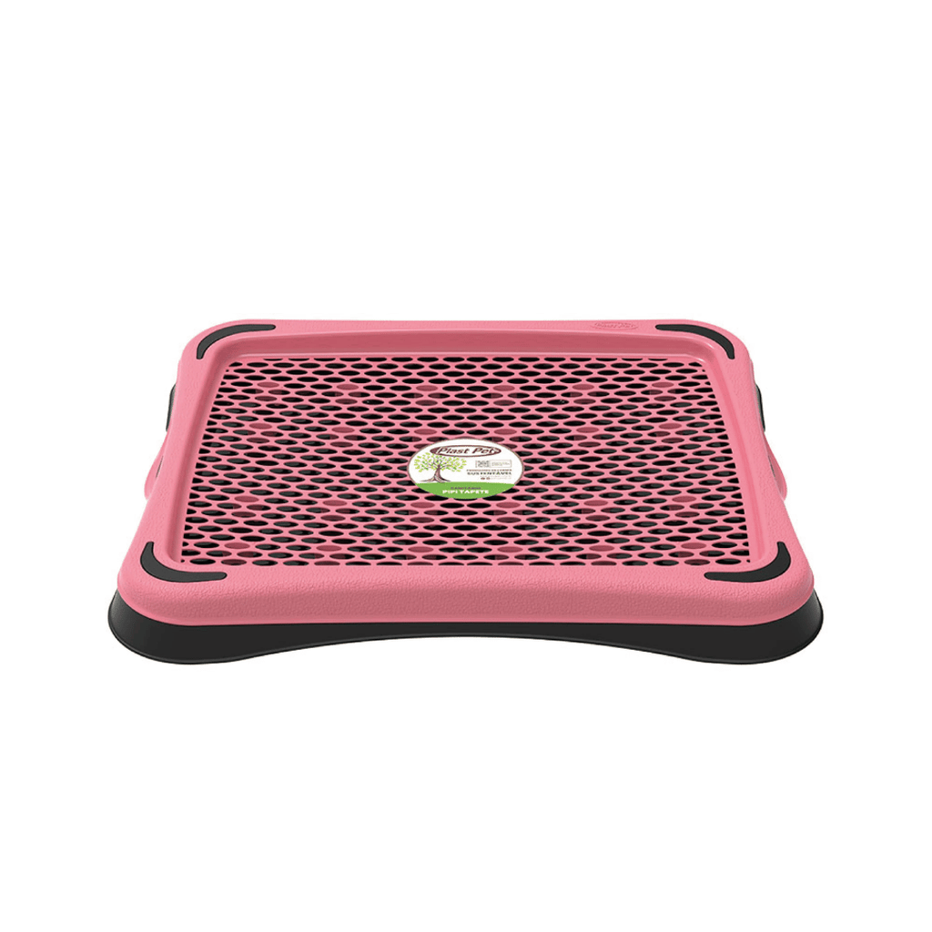 Tapete Sanitário Higiene Cachorro Eco Pipi Cores Variadas