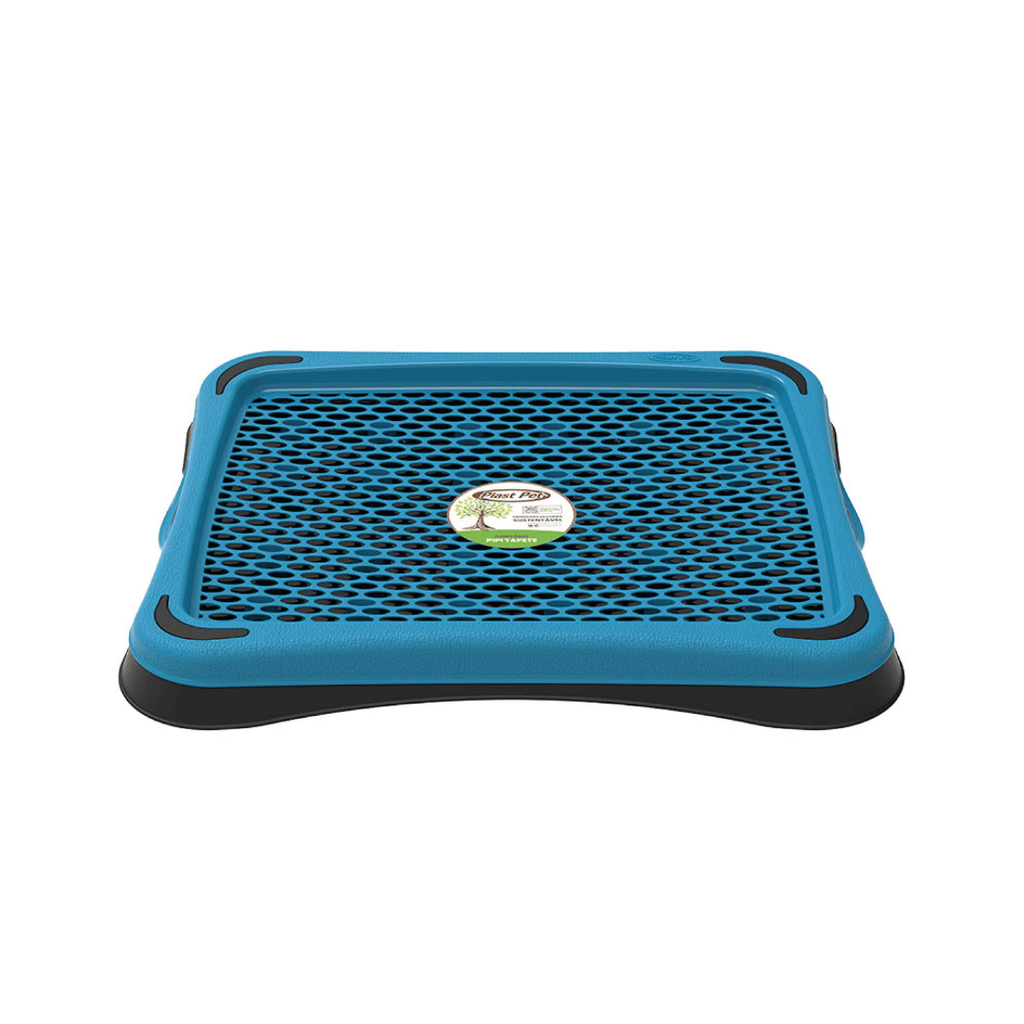 Tapete Sanitário Higiene Cachorro Eco Pipi Cores Variadas