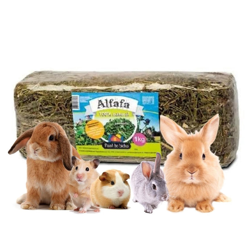 Alfafa Prensada Para Roedores 1Kg