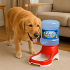 Bebedouro Automático para Cães Galão 2L Truqys Pet