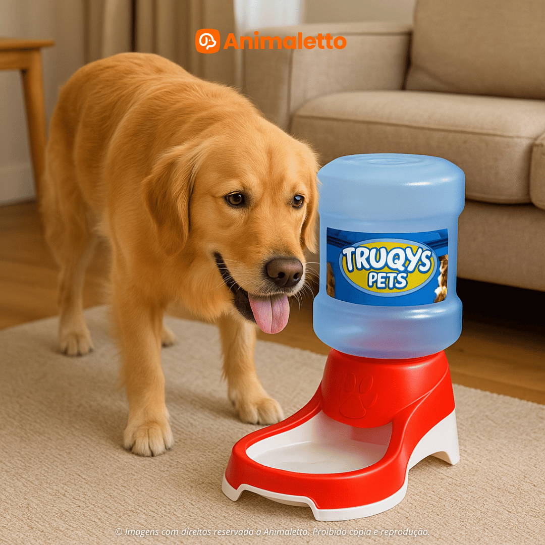 Bebedouro Automático para Cães Galão 2L Truqys Pet