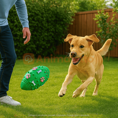 Bola Futebol Americano Pet Gigante Mordedor Vinil Atóxico Procanine