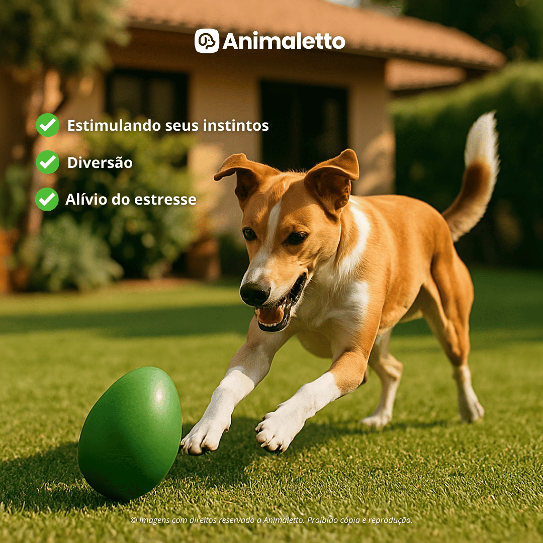 Brinquedo interativo Mordedor Anti stress Para Cachorro Ovo Maluco Tamanho G