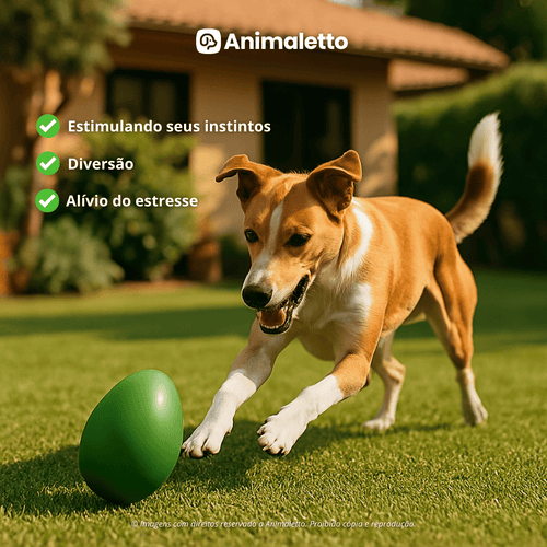 Brinquedo interativo Mordedor Anti stress Para Cachorro Ovo Maluco Tamanho M
