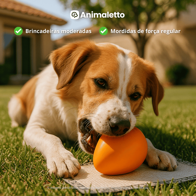 Brinquedo interativo Mordedor Anti stress Para Cachorro Ovo Maluco Tamanho M