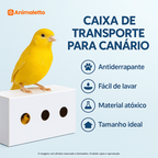 Caixa Transporte Canário Papelão Reforçado Kit 100 un