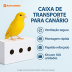 Caixa Transporte Canário Papelão Reforçado Kit 100 un