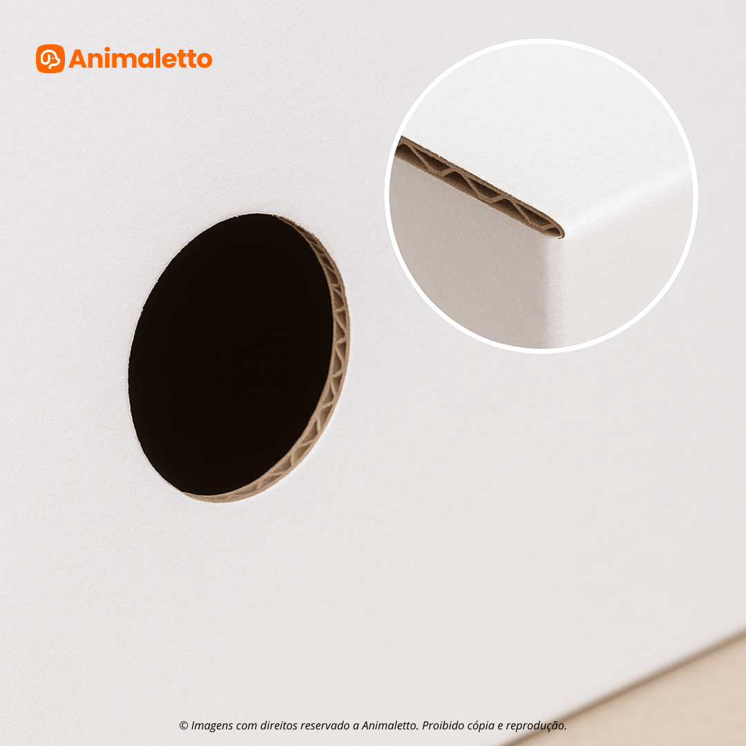 Caixa Transporte Canário Papelão Reforçado Kit 100 un