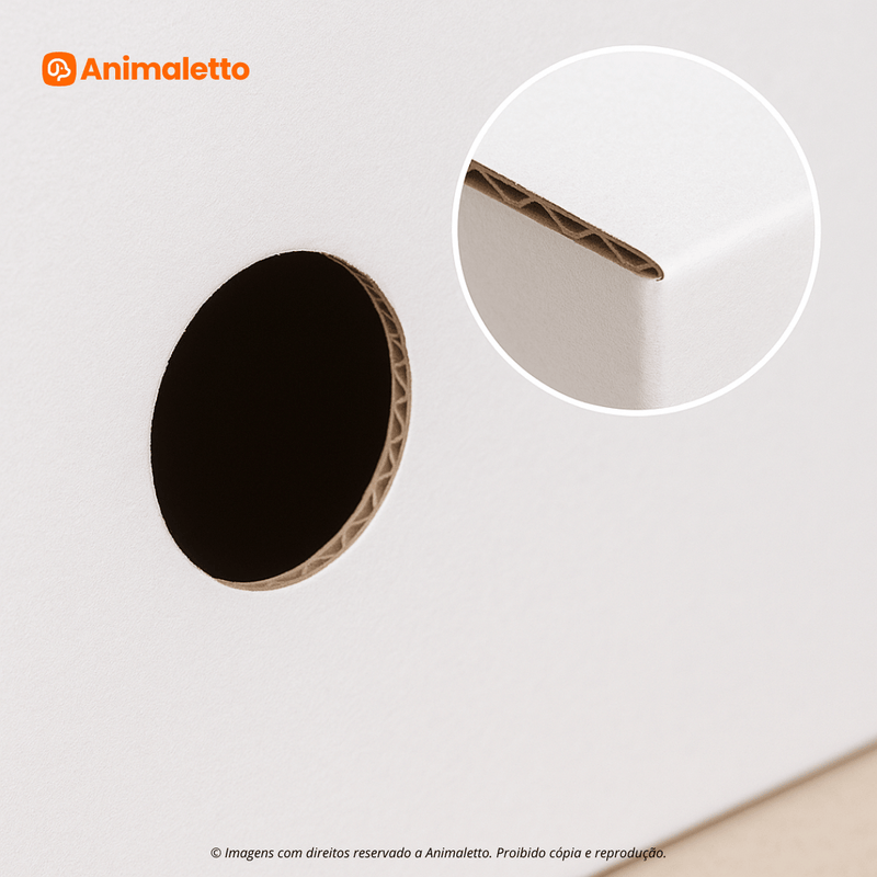 Caixa Transporte Canário Papelão Reforçado Kit 100 un