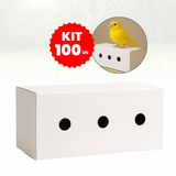 Caixa Transporte Canário Papelão Reforçado Kit 100 un