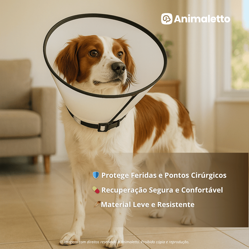 Colar Elizabetano Cirúrgico Pós Operatório Cone Cachorro Gato Pet Diversos Tamanhos