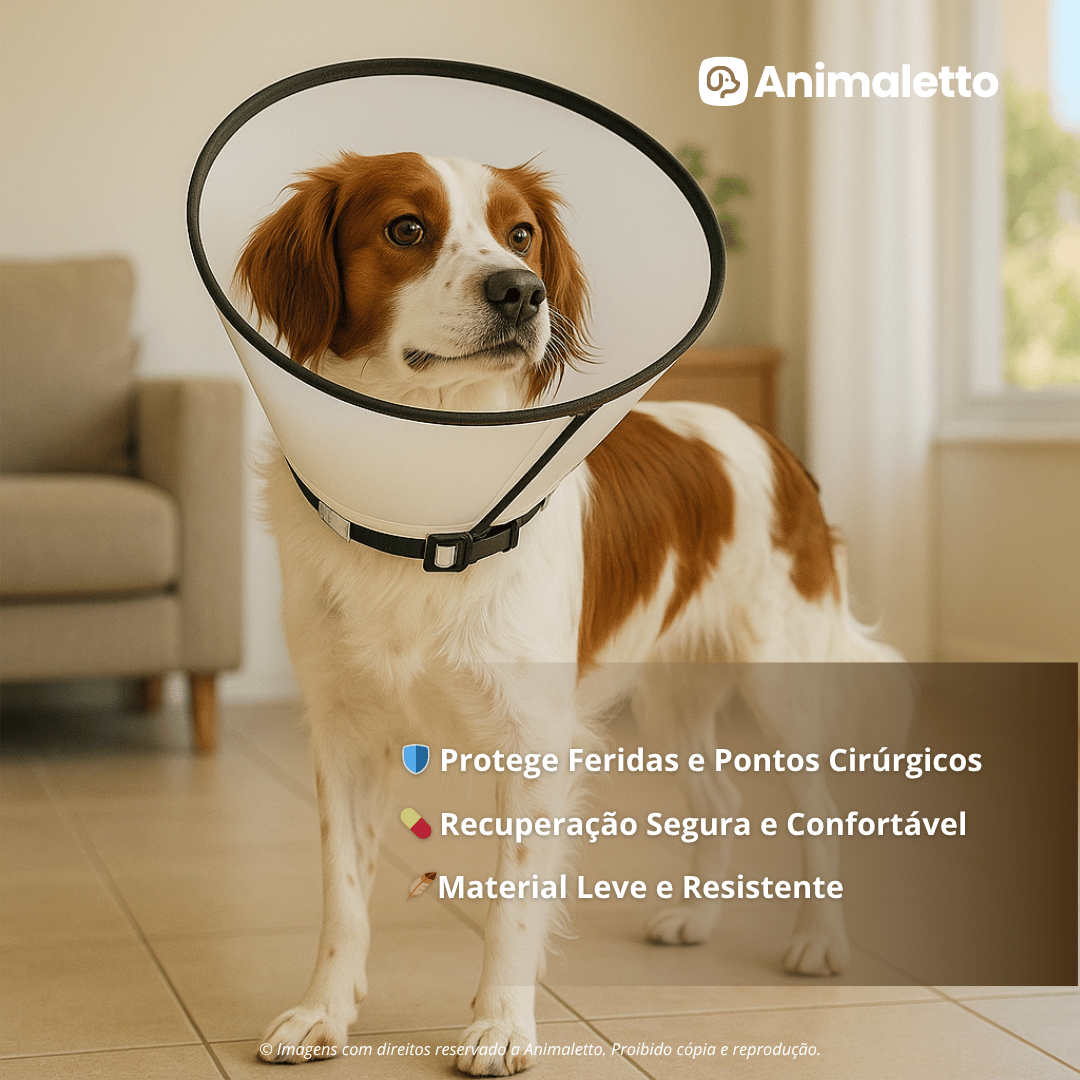 Colar Elizabetano Cirúrgico Pós Operatório Cone Cachorro Gato Pet Diversos Tamanhos