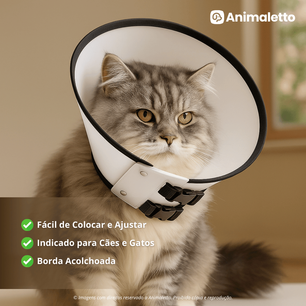 Colar Elizabetano Cirúrgico Pós Operatório Cone Cachorro Gato Pet Diversos Tamanhos