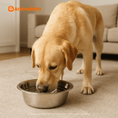 Comedouro Tigela Inox Nº2 Chalesco Cães e Gatos