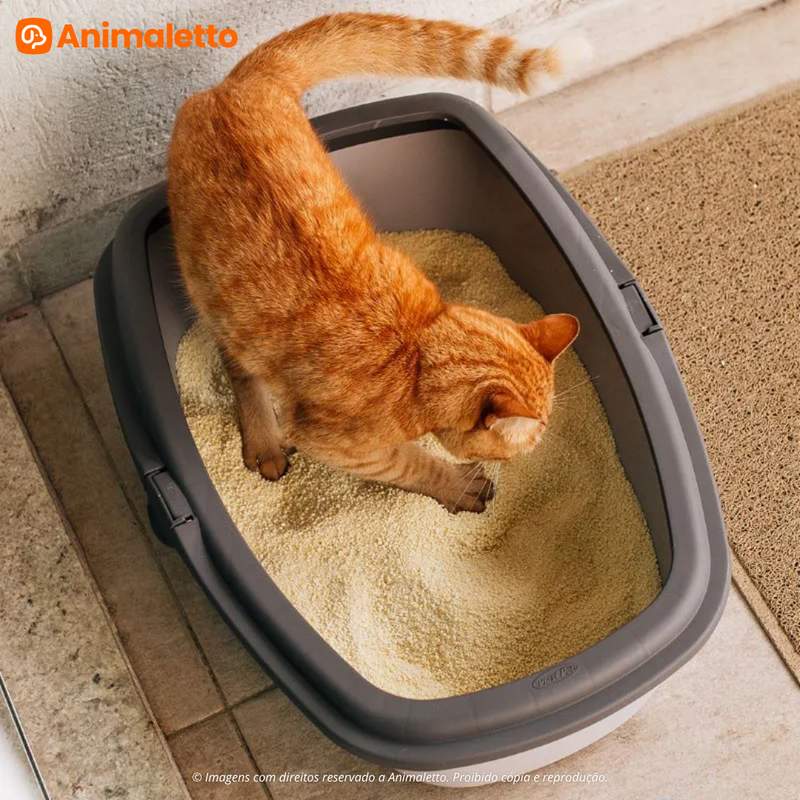 Bandeja Higiênica WC King Grande para Gatos com Bordas Protetoras