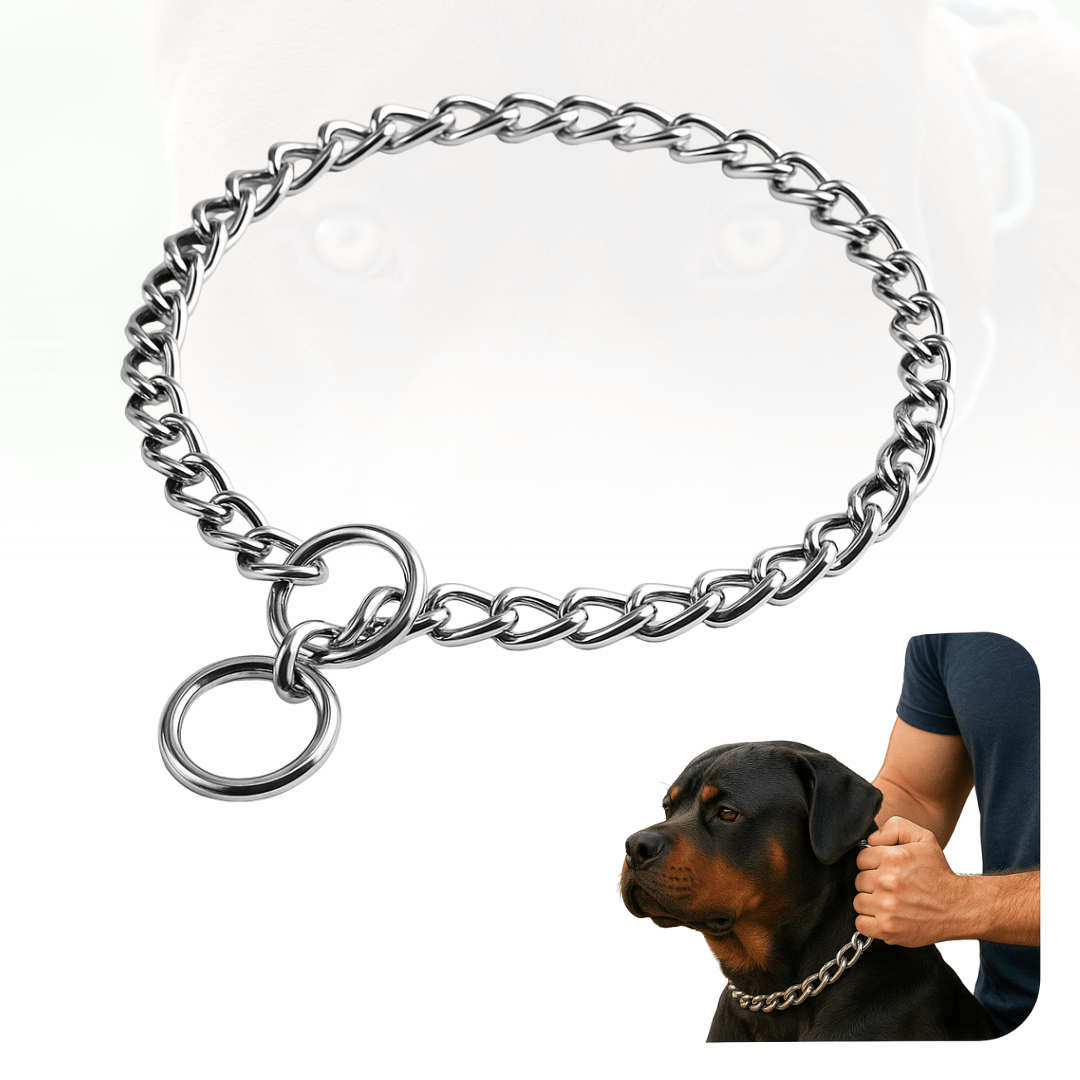 Enforcador Aço Inox Elo Curto/Longo Cães Controle Treino