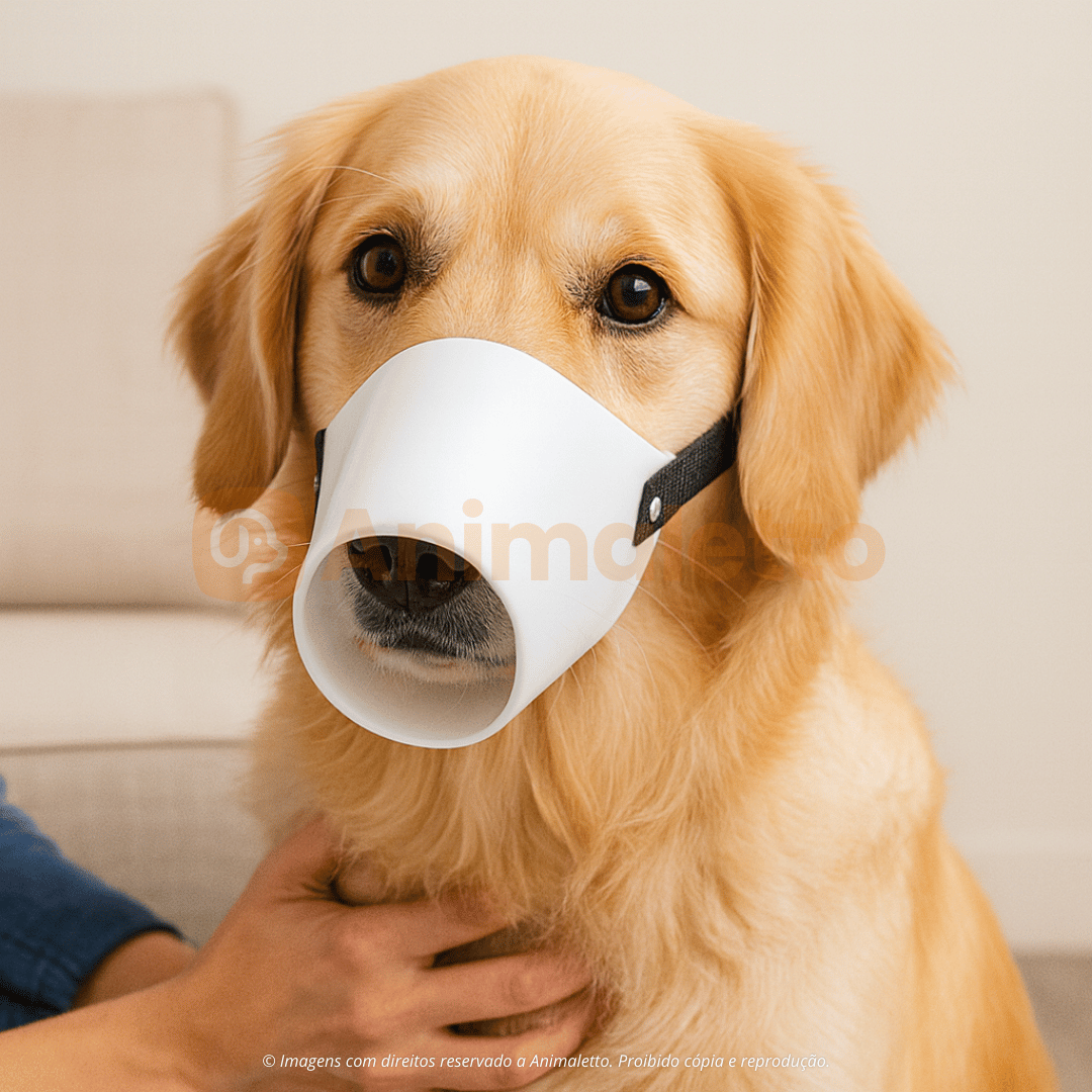 Focinheira Plástica para Cães Respirável Polipropileno Kit N° 1 ao N° 5