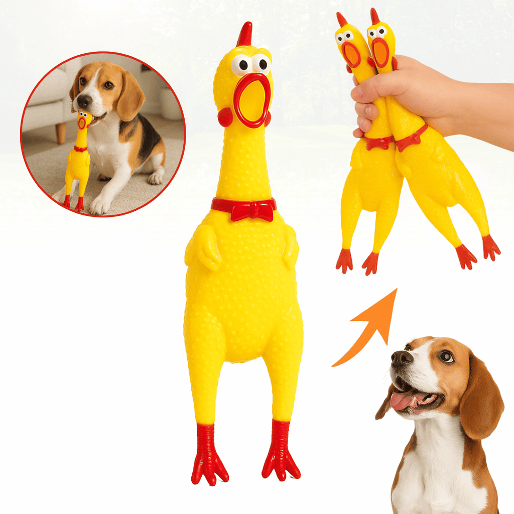 Frango Galinha Brinquedo Pet Borracha Mordedor com Apito 30cm