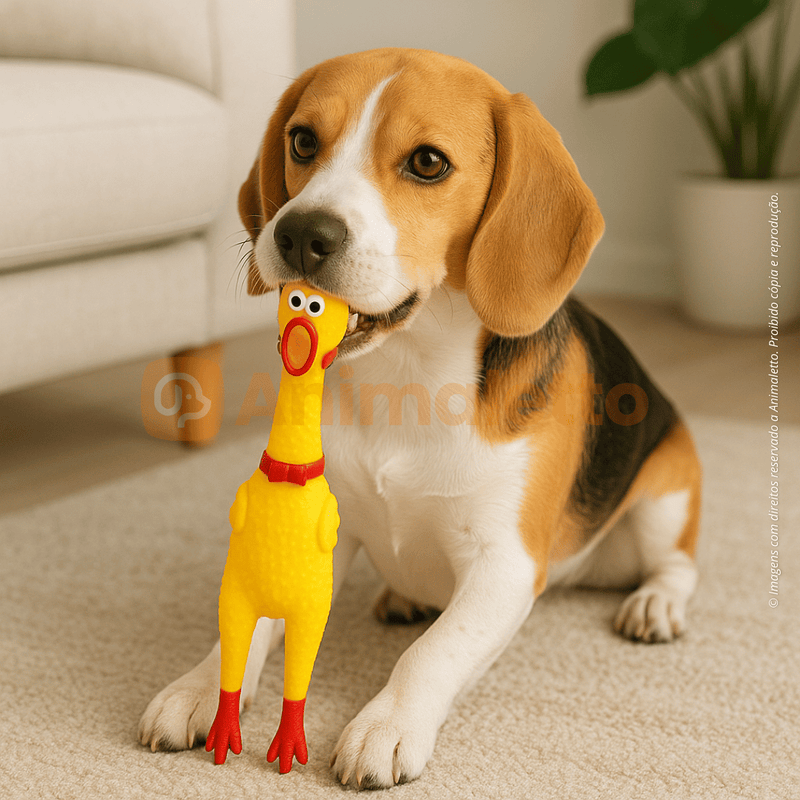 Frango Galinha Brinquedo Pet Borracha Mordedor com Apito 30cm