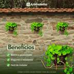 Kit 5 Suportes Margarida Para Plantas Escolha o Tamanho