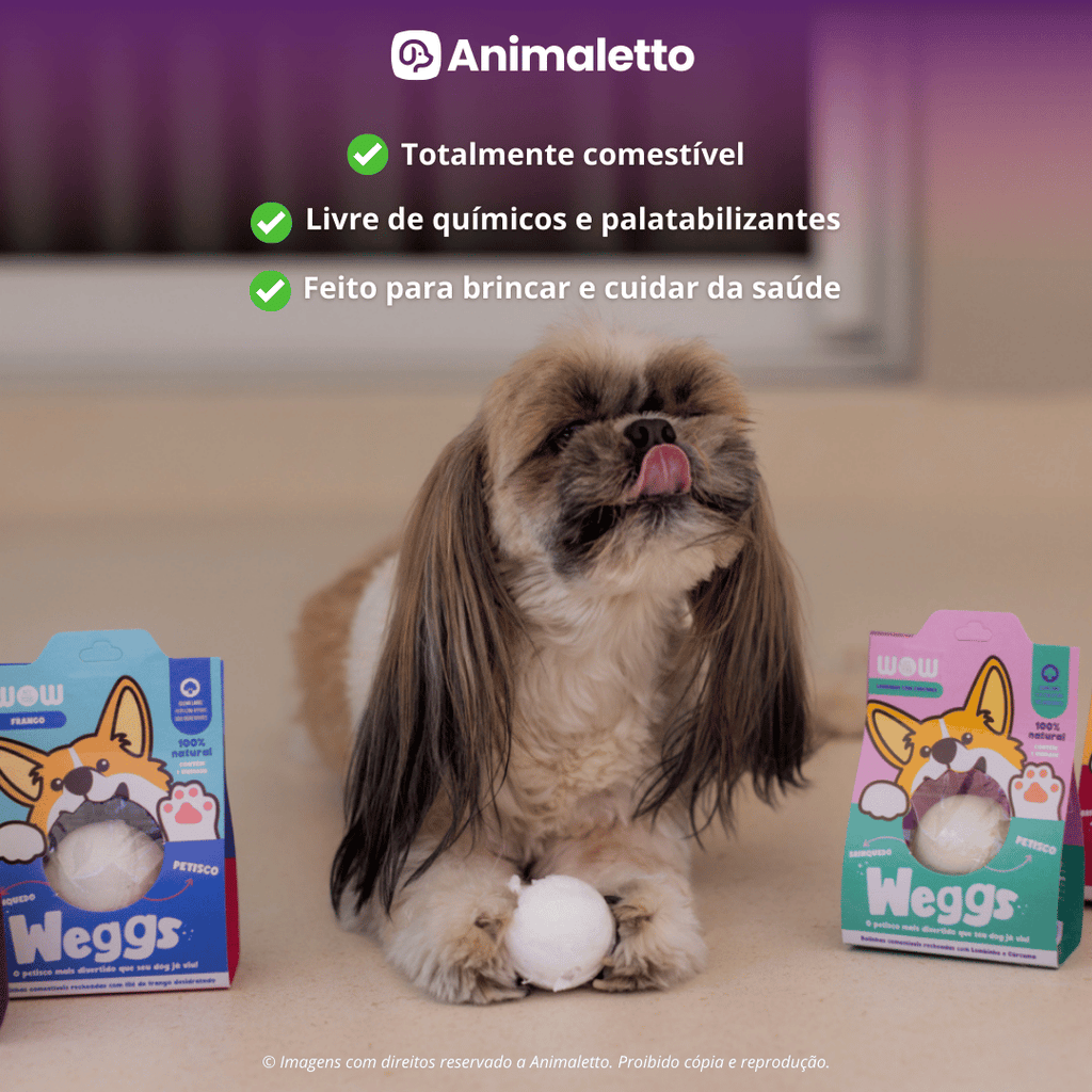 Kit Com 5 Petisco Natural para Cães Pet Weggs Lombinho