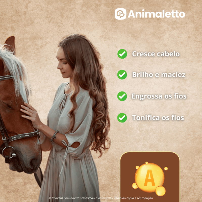 Shampoo Good Horse Vitamina A 700ml