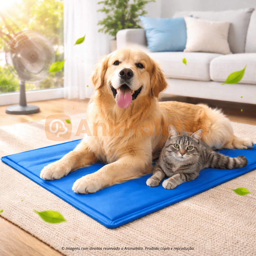 Tapete Gelado Refrescante Azul Ringo Para Pets Cães e Gatos Todos os Tamanhos