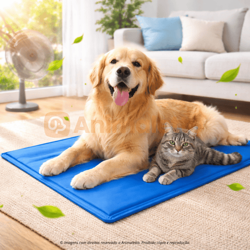 Tapete Gelado Refrescante Azul Ringo Para Pets Cães e Gatos Todos os Tamanhos