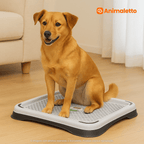 Tapete Sanitário Higiene Cachorro Eco Pipi Cores Variadas