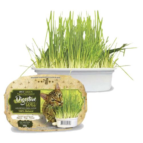 Graminha para Gatos Digestive Grass Ipet - 50g